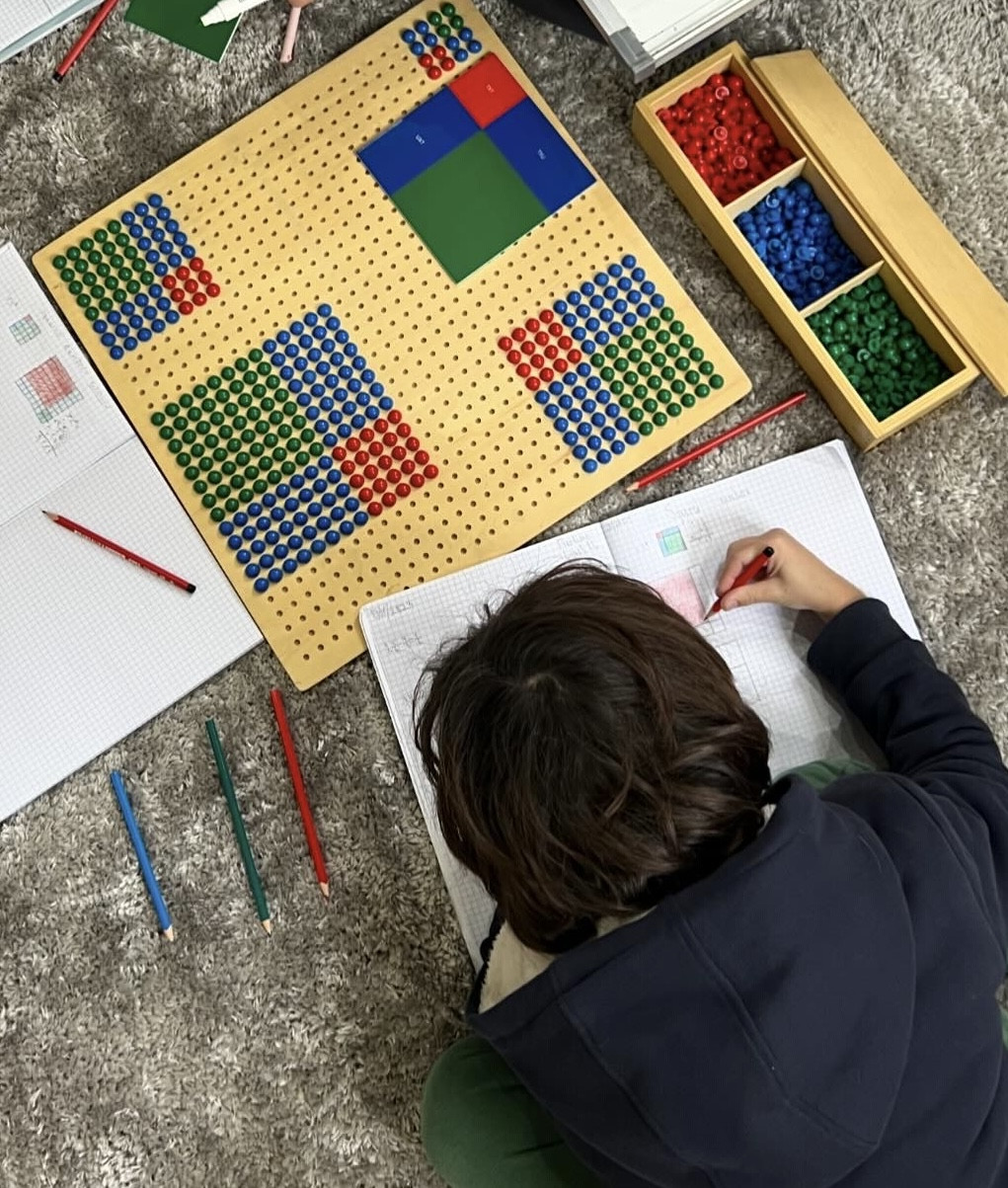 Elementary School About Section