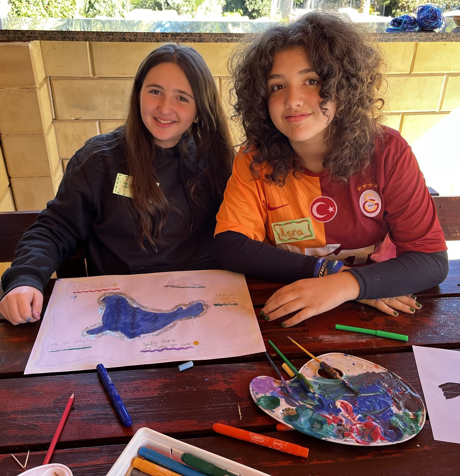 Why Montessori works About Section