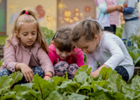 Young Gardeners & Eco Explorers Club